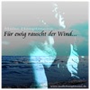 Für ewig rauscht der Wind - Single