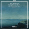 Ari Rasilainen & Norwegian Radio Orchestra - Symphony No. 3 in D Major, Op. 10, "West Coast Pictures": III. Sommarnatt (Summer Night)