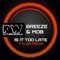 Is It Too Late (Tyl3R Remix) - Mark Breeze & Mob lyrics