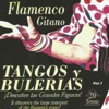 Flamenco Gitano - Tangos y Bulerías Vol. 1