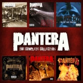 The Pantera Collection artwork