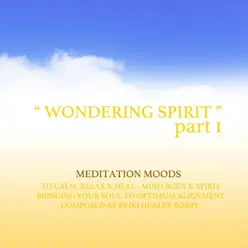 Wondering Spirit, Pt. I - Bobby Wondering Spirit, Pt. I - Bobby