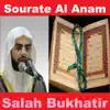 Sourate Al Anam (Quran - Coran - Islam) album lyrics, reviews, download