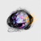 Bita - Egoism lyrics