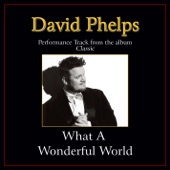 What a Wonderful World (Original Key Performance Track Without Background Vocals) artwork