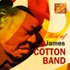 Masters of the Last Century: Best of James Cotton Band