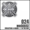 Evolution 4-ward / In the Mix - Single