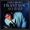 James Brown - Papa's Got a Brand New Bag (Live)
