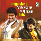 Mega Star of Vikram and Vijay Hits - Artisti Vari