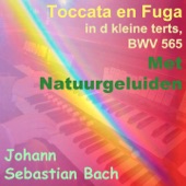 Bach: Toccata en Fuga in D Minor, BWV 565 (Met Natuurgeluiden Version) artwork