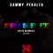 Shake It 2010 (Daddy's Groove Mix) - Sammy Peralta lyrics