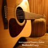 Instrumental Country Guitar: Redneck Crazy