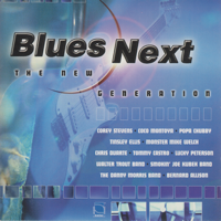 Various Artists - Blues Next-The New Generation artwork