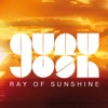 Ray of Sunshine - Single, 2013