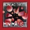 Shovels - Bonsai Trees lyrics