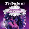 Tributo a Intocable & Banda Primavera album lyrics, reviews, download