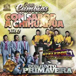 Puras Cumbias Con Sabor a Chihuahua, Vol. 2 - Conjunto Primavera Puras Cumbias Con Sabor a Chihuahua, Vol. 2 - Conjunto Primavera