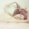 Eargasm Chill Out, Vol. 4 (An Obsession of Erotic Lounge)