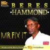 Mr. Fix It - Single