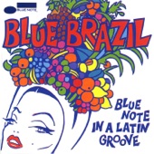 Blue Brazil artwork