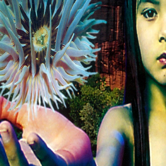 Cover artwork for Eggshell