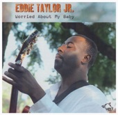 Eddie Taylor Jr. - Blues In Your Life