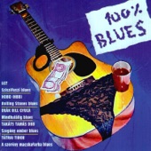 Közép-Európai hobo blues No. 2 artwork