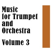 Concerto in D for trumpet, strings & Continuo artwork