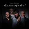 Introducing... The Pineapple Thief album lyrics, reviews, download
