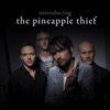 Introducing... The Pineapple Thief
