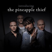 Introducing... The Pineapple Thief artwork