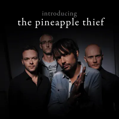 Introducing... The Pineapple Thief - The Pineapple Thief