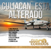 Club Corridos: Culiacan Esta Alterado - El Mal Prevalece, La Fiesta del Chino, Chuy y Mauricio, Chapo Guzman, Pinas en Mano, El Gallo de Sinaloa, Julio Beltran, El Señor de la M - Various Artists