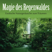 Magie des Regenwaldes: Exotische Naturgeräusche - Kings of Nature