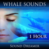 Whale Sounds - 1 Hour - Sound Dreamer