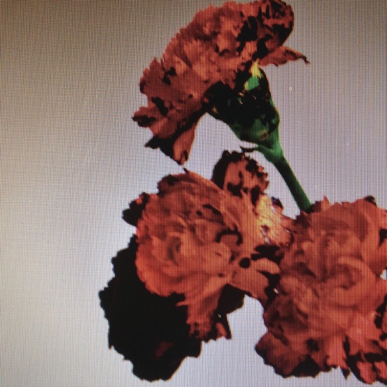 Cover artwork for Made To Love