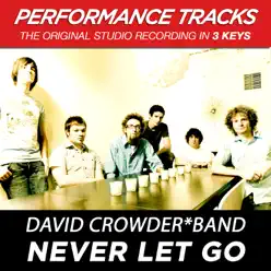 Never Let Go (Performance Tracks) - EP - David Crowder Band