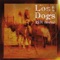 A Blessing In Disguise - Lost Dogs lyrics