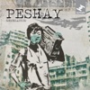 Peshay - Never Let You Go