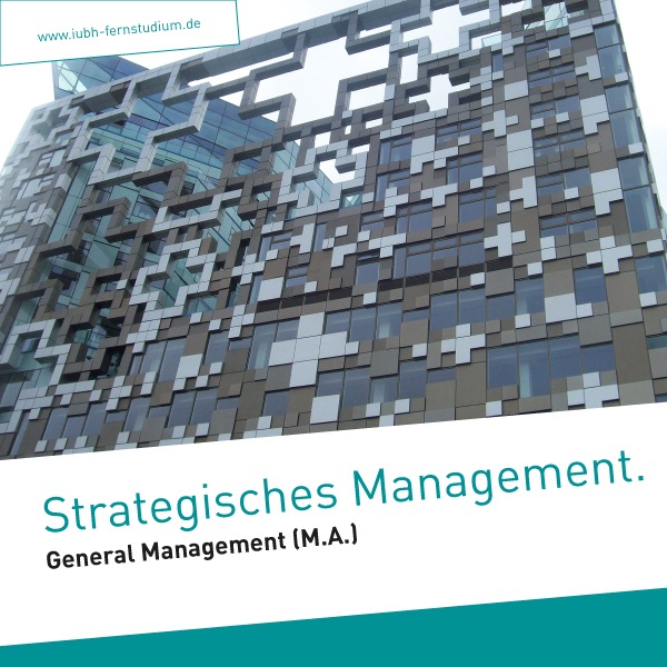 Strategisches Management (Master) cover
