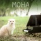 Don't Forsake Me - Moha lyrics