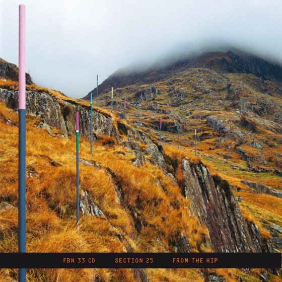 Cover artwork for Looking from a Hilltop