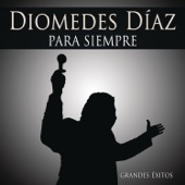 Simulacion (Diomedes Díaz) artwork