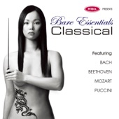Bare Essentials - Classical artwork