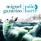 Pequenas Coisas - Miguel Gameiro lyrics