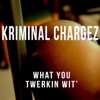 What You Twerkin' Wit' (As Featured in the Motion Picture 