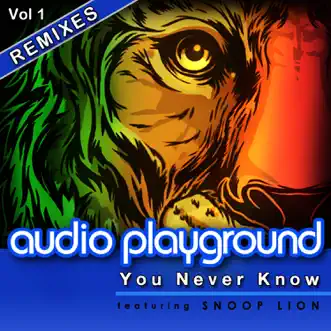 You Never Know [Feat. Snoop Lion] [Remixes Vol 1] - EP by Audio Playground album reviews, ratings, credits