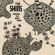 Wincing the Night Away - The Shins