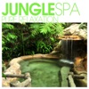 Jungle SPA - Pure Relaxation, 2014