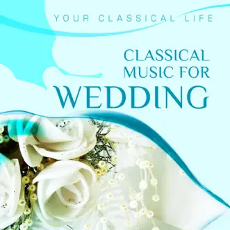 Le nozze di Figaro, K. 492: Non so piu cosa son by St. Petersburg Orchestra of the State Hermitage Museum Camerata, Pavel Bubelnikov & Julia Gertseva song reviws